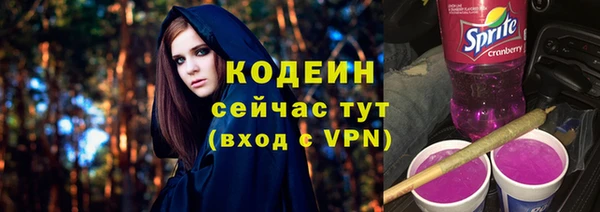 твердый Абаза