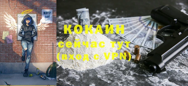 твердый Абаза