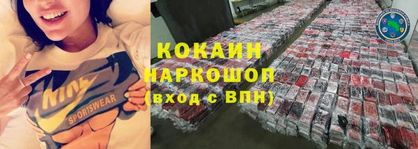 твердый Абаза