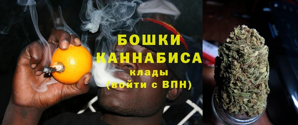твердый Абаза