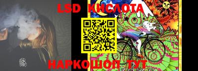 прущие грибы Лесосибирск