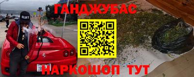 прущие грибы Лесосибирск