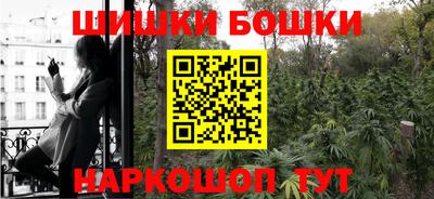 прущие грибы Лесосибирск
