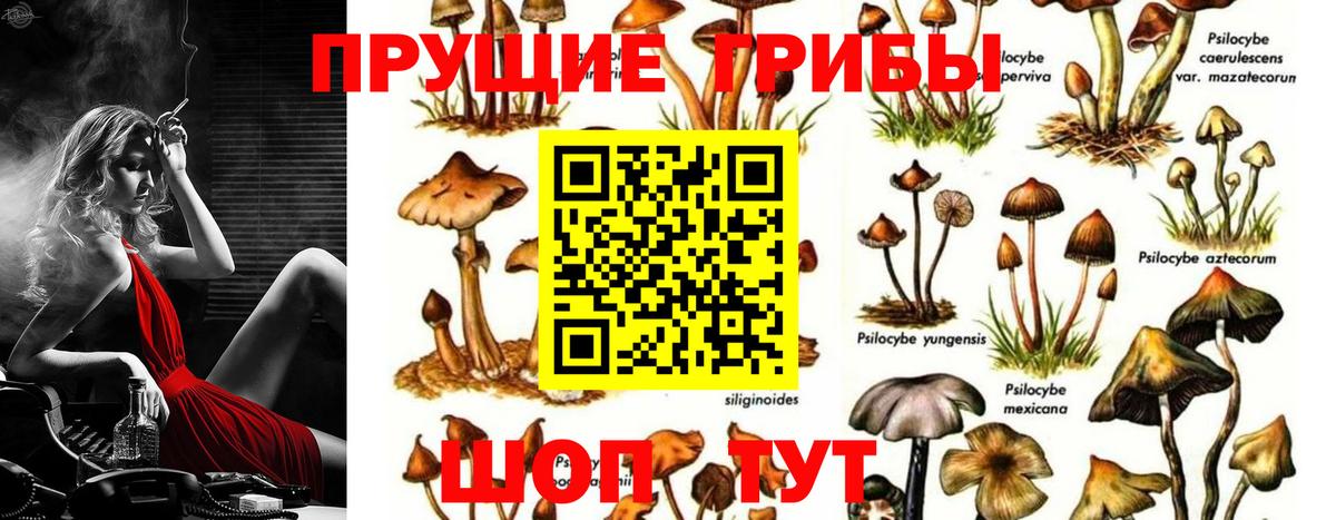 Галлюциногенные грибы Psilocybe  Псилоцибиновые грибы Magic Shrooms  Гагарин  Вход с VPN 
